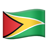 Guyana flag