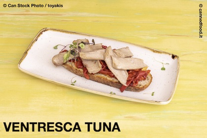 ventresca tuna