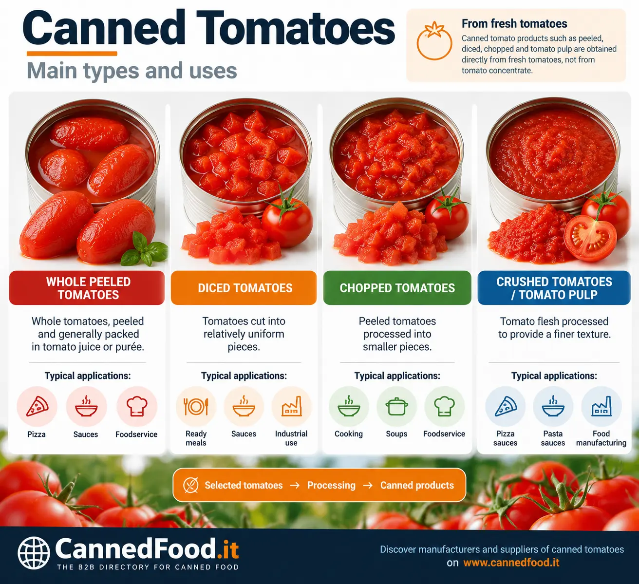 Canned tomatoes types and uses