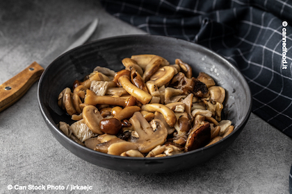 canned mushrooms