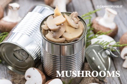 canned champignons mushrooms