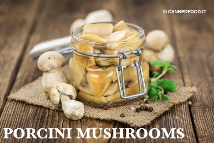 porcini mushrooms