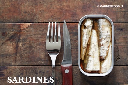 canned sardines