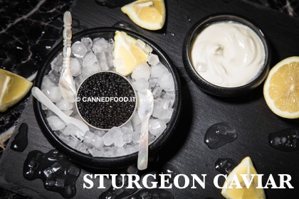 sturgeon caviar