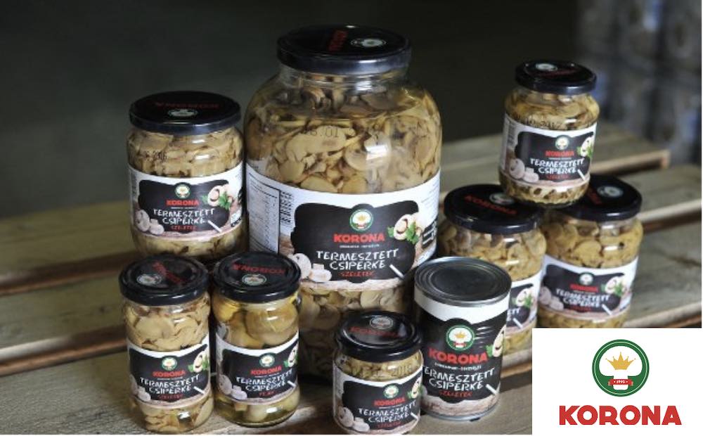 Korona canned mushrooms