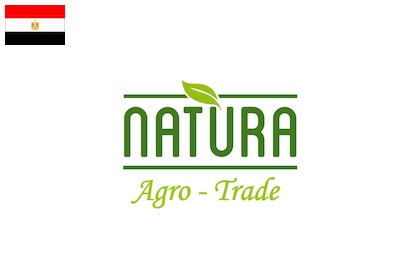 natura agro trade artichokes